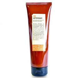 Insight Professional Antioxidant - Маска антиоксидант для перегруженных волос, 250мл